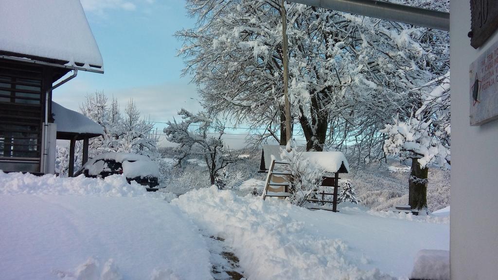 Poljane nad Škofjo LokoTourist Farm Ljubica别墅 外观 照片