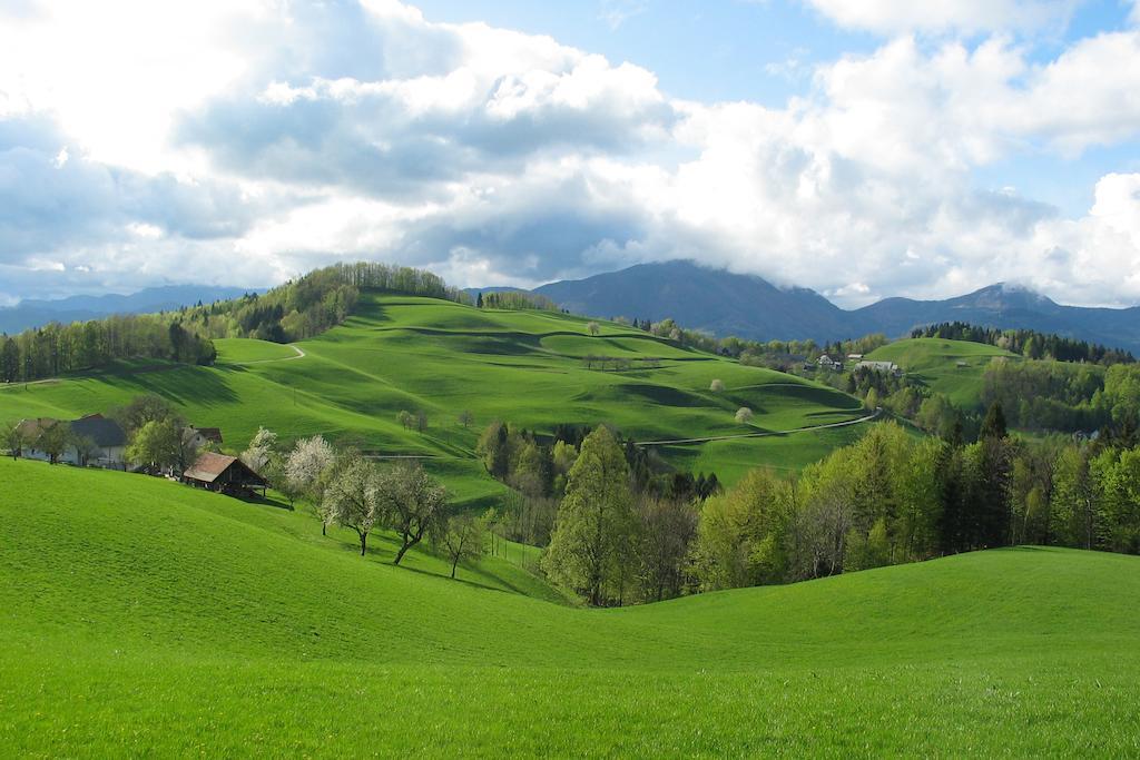 Poljane nad Škofjo LokoTourist Farm Ljubica别墅 外观 照片
