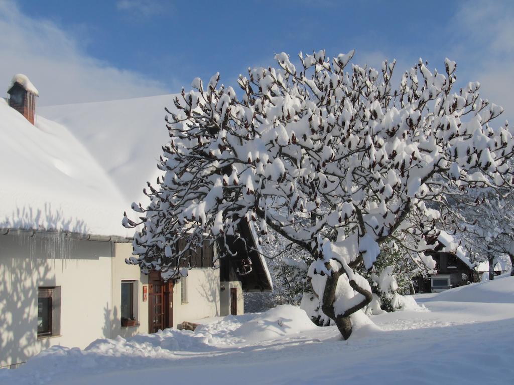 Poljane nad Škofjo LokoTourist Farm Ljubica别墅 外观 照片