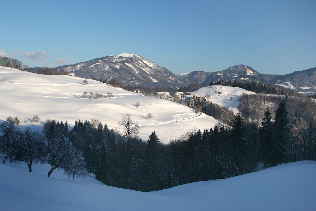 Poljane nad Škofjo LokoTourist Farm Ljubica别墅 外观 照片