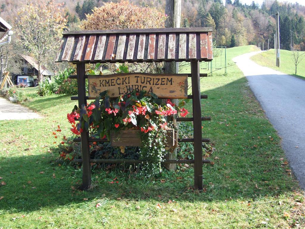Poljane nad Škofjo LokoTourist Farm Ljubica别墅 外观 照片