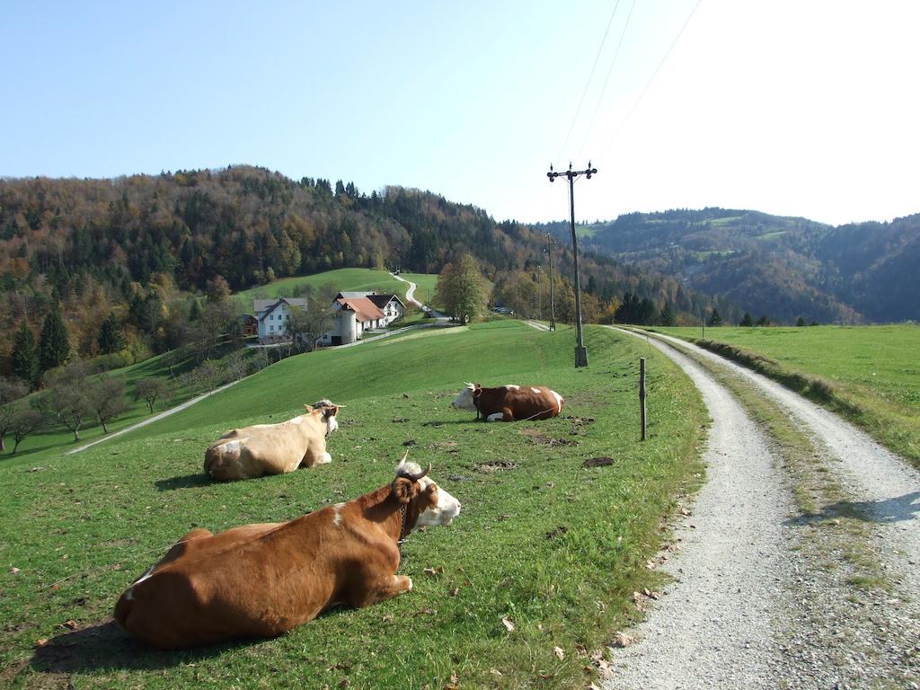 Poljane nad Škofjo LokoTourist Farm Ljubica别墅 外观 照片
