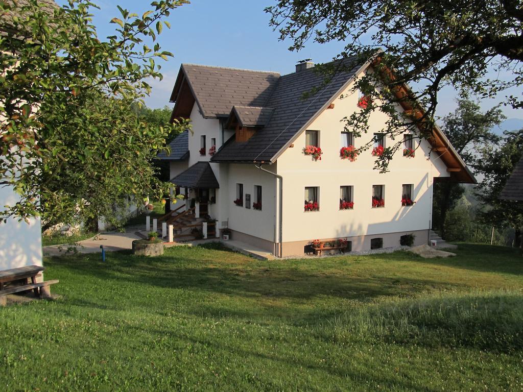 Poljane nad Škofjo LokoTourist Farm Ljubica别墅 外观 照片